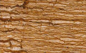 Walnut Travertine (AZ)